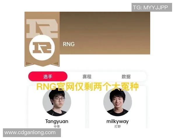 RNG在S15电竞大师赛中以90分稳居积分榜首位引发关注