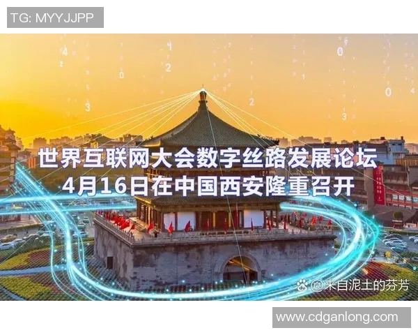 深度探讨张芳在CSGO中的成长与挑战之路实时数据