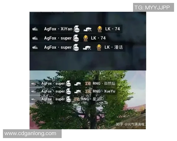 电竞数据热议和平精英RNG战队力量变革背后的策略与影响分析