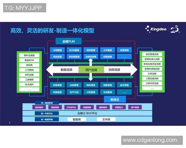 电竞数据重磅专题探讨FPX在行业中的转型与创新之路